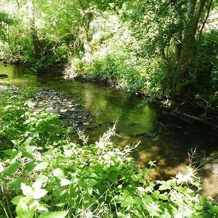Am Elzbach Apartmán Monreal