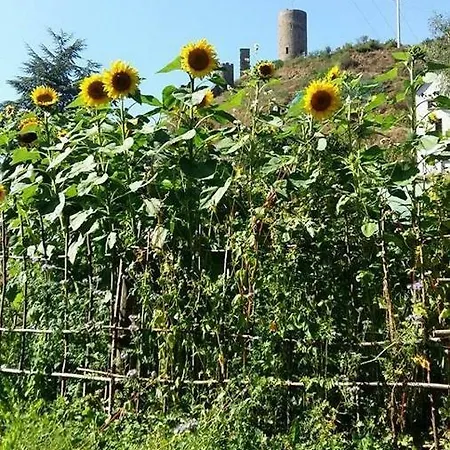 Apartmán Am Elzbach Monreal